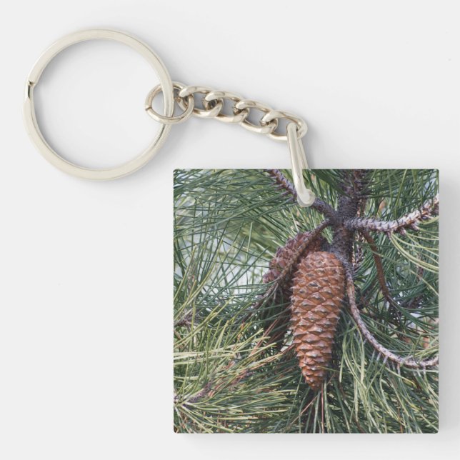 Porte-clés Pinecone sur le pin (Devant)