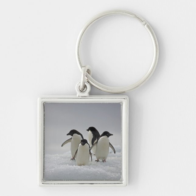 Porte-clés Pingouins d'Adelie sur des écoulements de glace (Devant)
