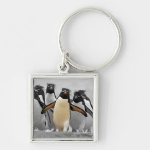 Porte-clés Pingouins de Rockhopper