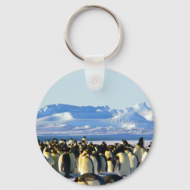 Porte-clés Pingouins empereurs (Recto)