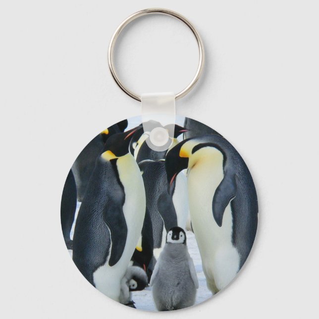 Porte-clés Pingouins empereurs (Recto)