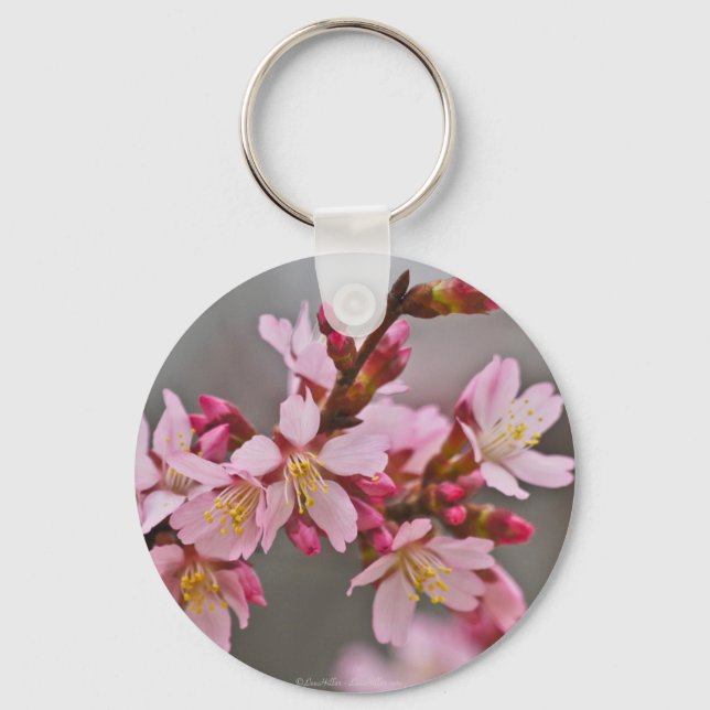 Porte-clés Pink Against A Gray Sky Japanese Cherry Blossoms (Recto)