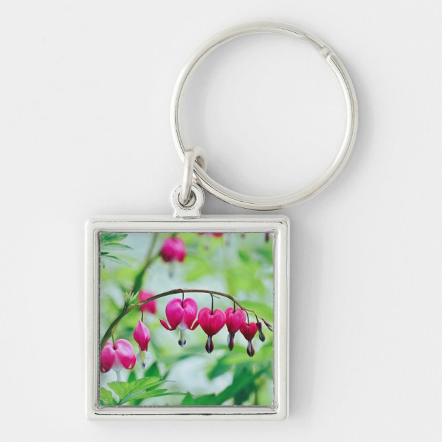 Porte-clés Pink Bleeding heart Flower Pretty Elegant (Devant)