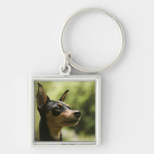 Porte-clés Pinscher miniature (Minute-Pin)
