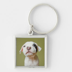 Porte-clés Pitbull avec l'oeil repéré par noir