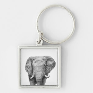 Porte-clés Plan de sauvegarde IV