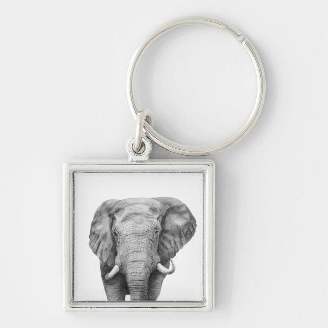 Porte-clés Plan de sauvegarde IV (Devant)