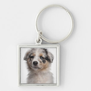 Porte-clés Plan rapproché australien bleu de chiot de berger