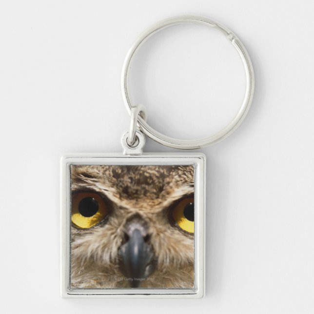 Porte-clés Plan rapproché de hibou (Devant)