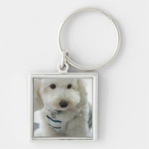 Porte-clés Plan rapproché d'un caniche miniature