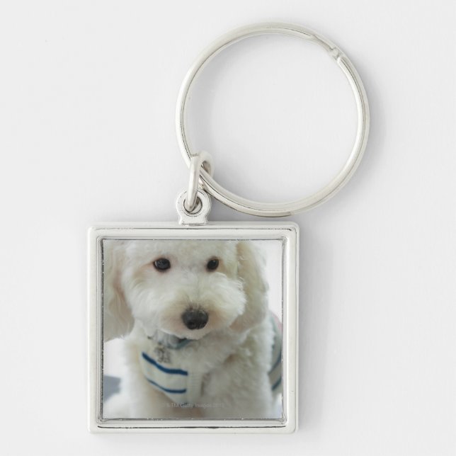 Porte-clés Plan rapproché d'un caniche miniature (Devant)