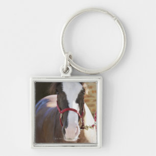 Porte-clés Plan rapproché d'un cheval attaché dans une écu