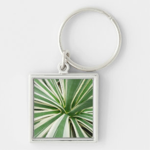 Porte-clés Plante Agave Vert et blanc rayé