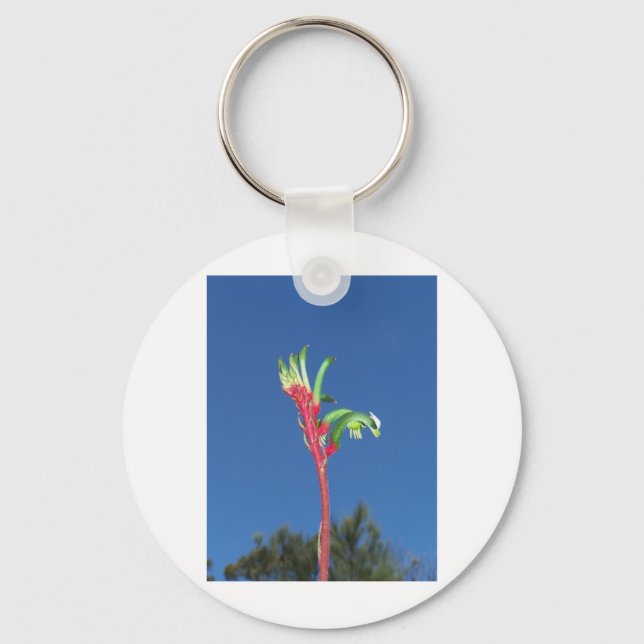 PORTE-CLÉS PLANTE DE PATTE DE KANGOUROU (Recto)