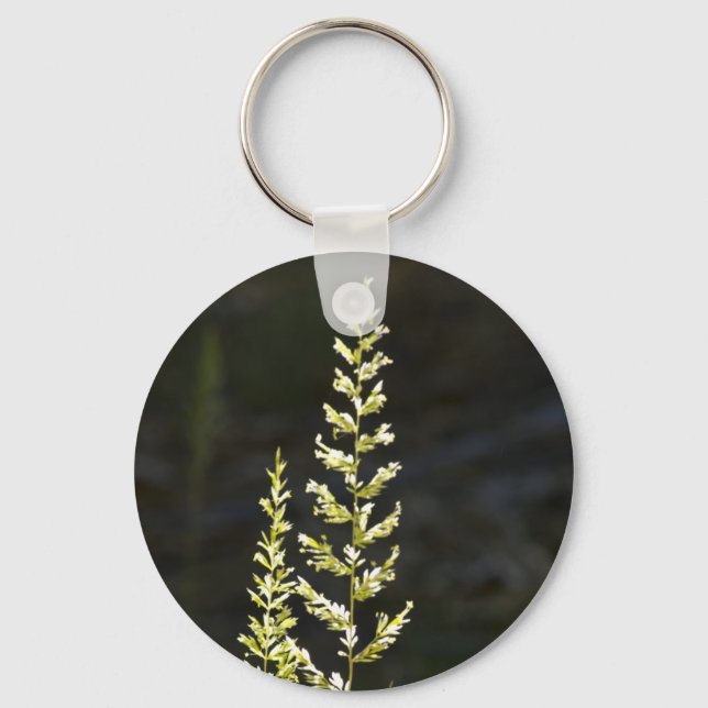 Porte-clés Plante vert (Recto)