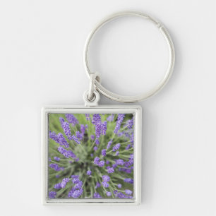 Porte-clés Plantes de lavande