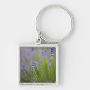 Porte-clés Plantes de lavande 2