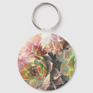 Porte-clés Plantes de poules et de poussins, succulents, Plan
