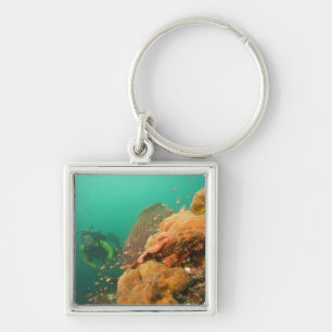 Porte-clés plongeur & Scorpionfish Scorpanopsis