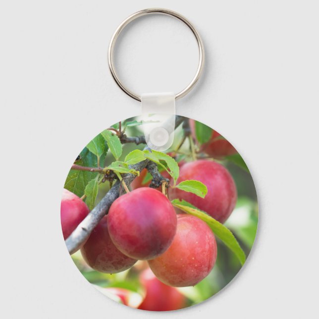 Porte-clés Plum cerise sur branche (Recto)