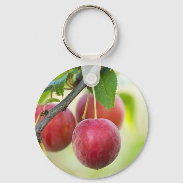 Porte-clés Plum cerise sur branche (Recto)