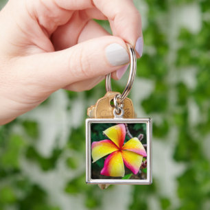 Porte-clés Plumeria rubra