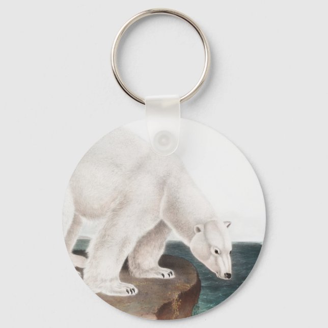 Porte-clés Polar Bear (Ursus maritimus) Illustration (Recto)