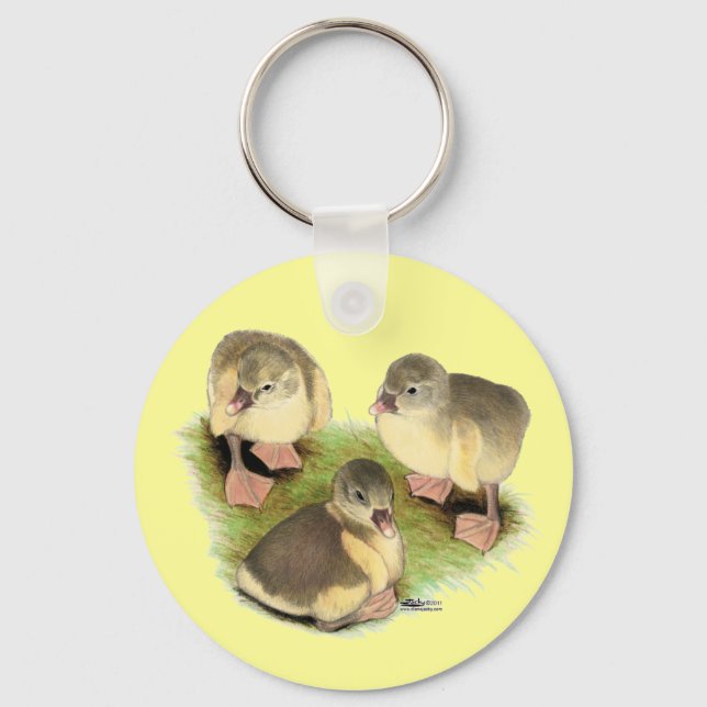 Porte-clés Pomeranian jaunets buff (Recto)