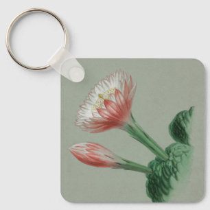 Porte-clés Pomme péruvienne