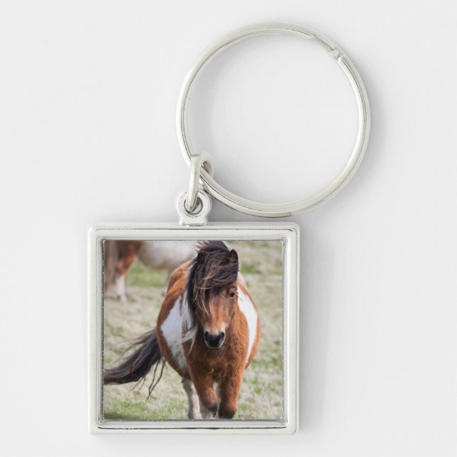 Porte-clés Poney Shetland, îles Shetland (Devant)