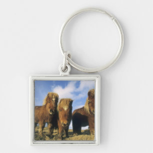 Porte-clés Poney Shetland, Shetland continentale,