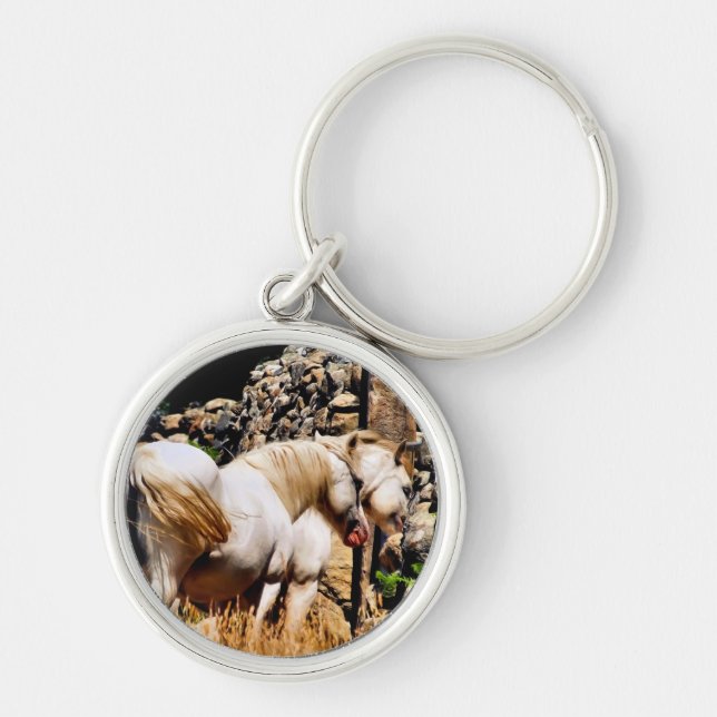 PORTE-CLÉS PONIES (Devant)