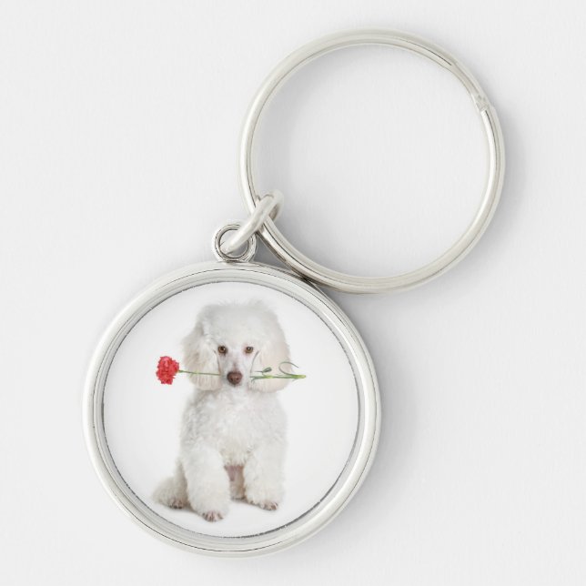 Porte-clés Poodle blanc avec chaîne Premium Carnation Key (Devant)