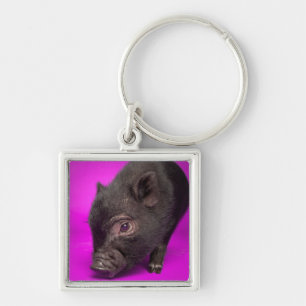 Porte-clés Porc noir de bébé