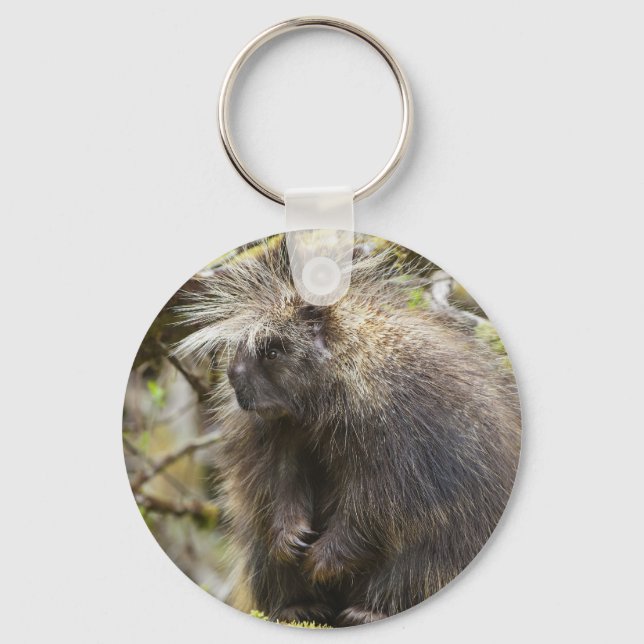 Porte-clés Porcupine déterminé (Recto)