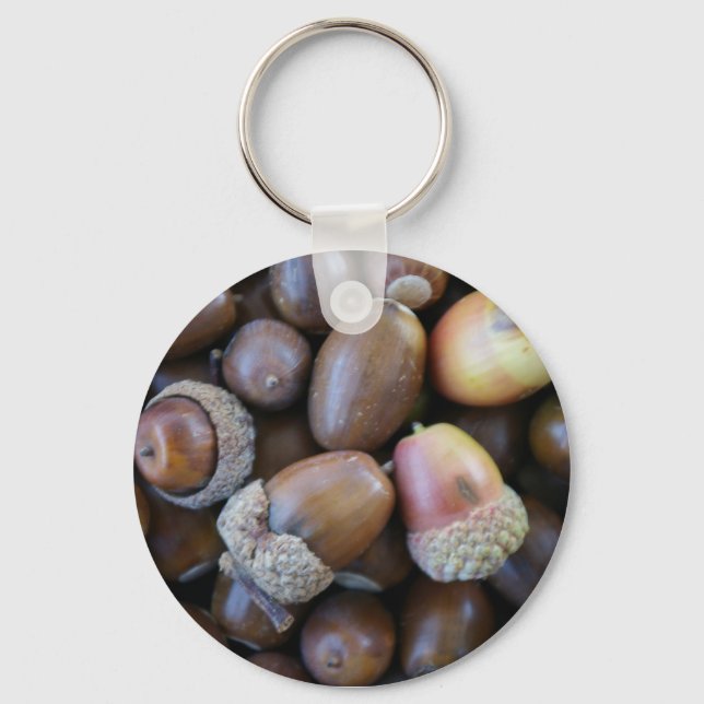 Porte-clés Porte - clé Acorn (Recto)