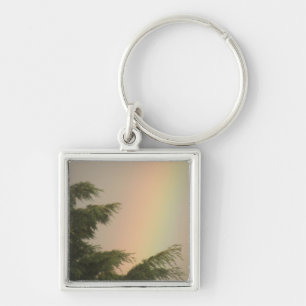 Porte-clés Porte - clé arc-en-ciel et arbres