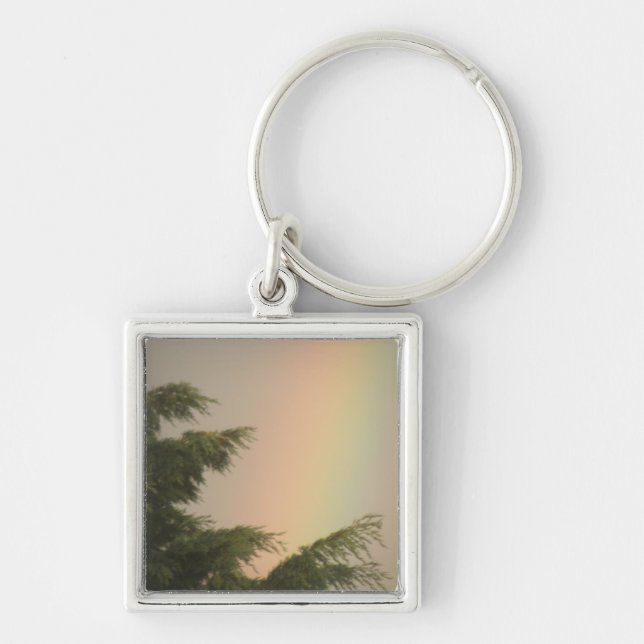 Porte-clés Porte - clé arc-en-ciel et arbres (Devant)