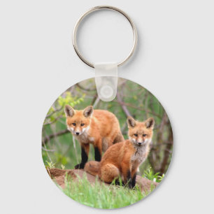 Porte-clés Porte - clé avec la photo des kits de renard rouge