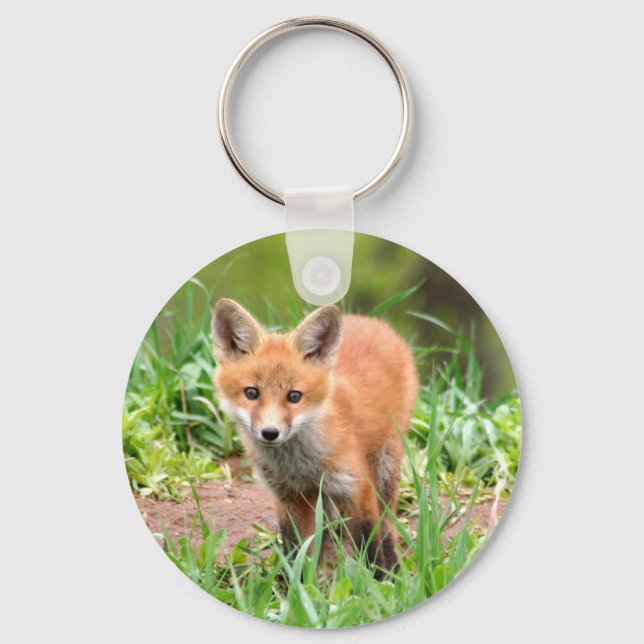 Porte-clés porte - clé avec la photo du kit renard rouge (Recto)