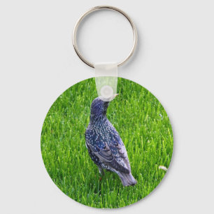 Porte-clés Porte - clé avec oiseau