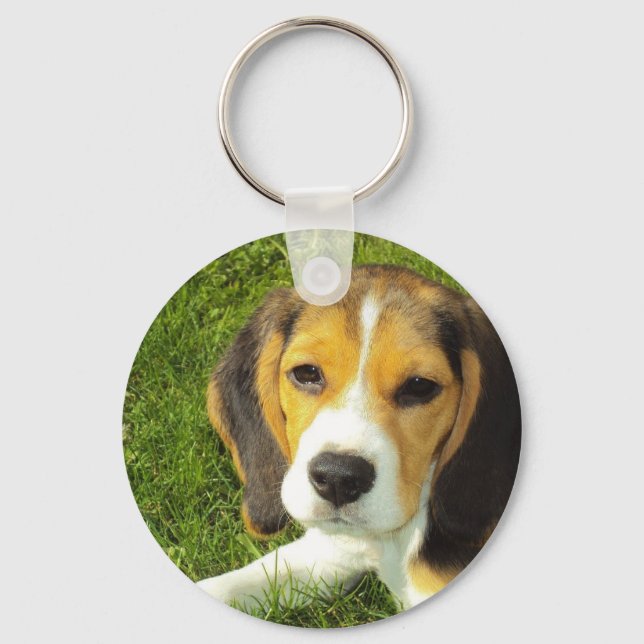 Porte-clés Porte - clé beagle (Recto)