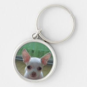 Porte-clés Porte - clé blanc de chiot de chiwawa