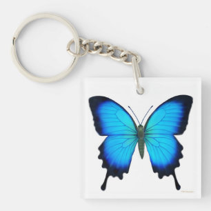 Porte-clés Porte - clé bleu de papillon d'Ulysse