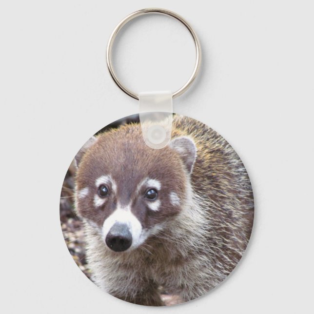 Porte-clés Porte - clé Bouton de base Coati (Recto)
