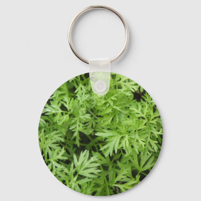 Porte-clés Porte - clé Carrot Tops (Recto)