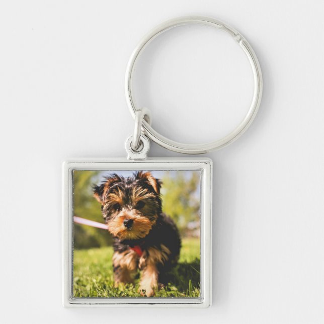 Porte-clés Porte - clé chien mignon 5 (Devant)