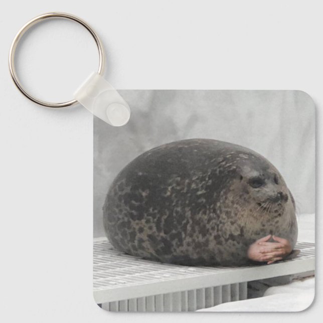 Porte-clés Porte - clé Chonky Seal Meme (Recto)