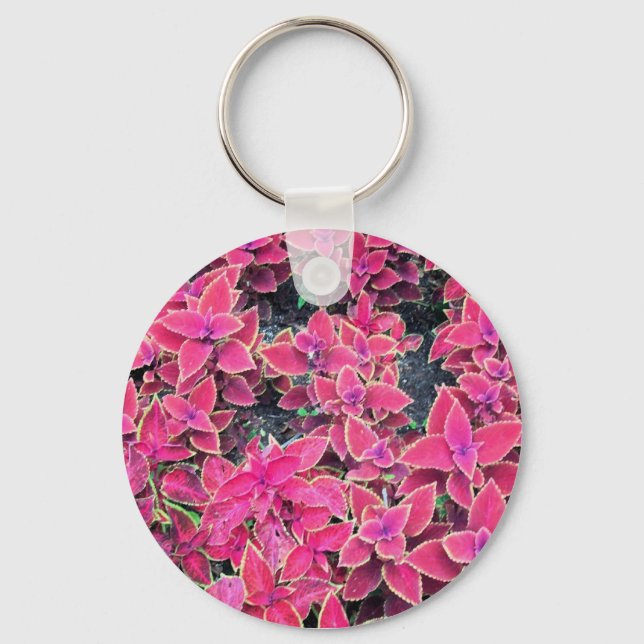 Porte-clés Porte - clé Coleus Plante rose (Recto)