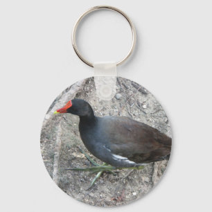 Porte-clés Porte - clé commun de poule d'eau